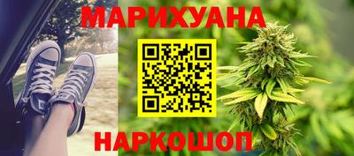крисы Лесосибирск