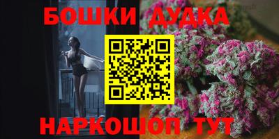 крисы Лесосибирск